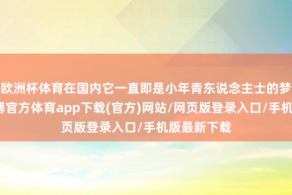 欧洲杯体育在国内它一直即是小年青东说念主士的梦中情车-万博官方体育app下载(官方)网站/网页版登录入口/手机版最新下载