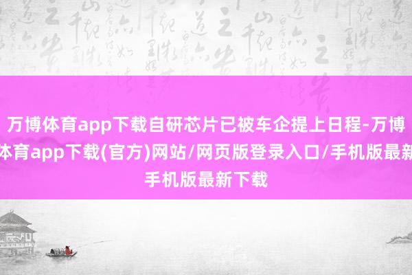 万博体育app下载自研芯片已被车企提上日程-万博官方体育app下载(官方)网站/网页版登录入口/手机版最新下载