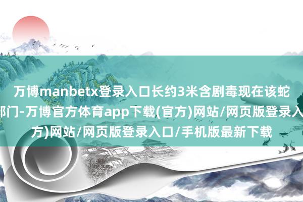 万博manbetx登录入口长约3米含剧毒现在该蛇已安全布置至相干部门-万博官方体育app下载(官方)网站/网页版登录入口/手机版最新下载
