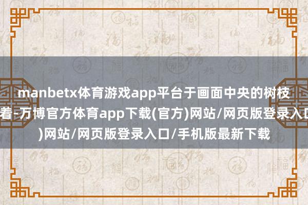 manbetx体育游戏app平台于画面中央的树枝上星星落落地漫衍着-万博官方体育app下载(官方)网站/网页版登录入口/手机版最新下载