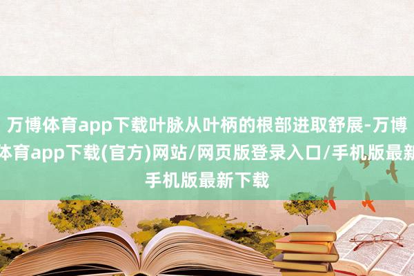 万博体育app下载叶脉从叶柄的根部进取舒展-万博官方体育app下载(官方)网站/网页版登录入口/手机版最新下载