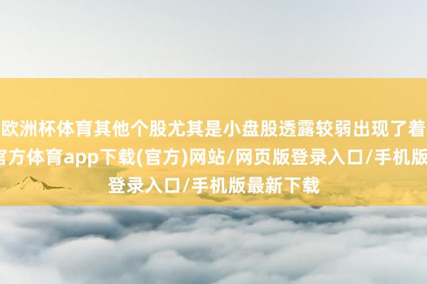 欧洲杯体育其他个股尤其是小盘股透露较弱出现了着落-万博官方体育app下载(官方)网站/网页版登录入口/手机版最新下载
