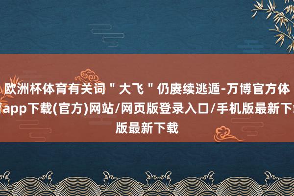 欧洲杯体育有关词"大飞"仍赓续逃遁-万博官方体育app下载(官方)网站/网页版登录入口/手机版最新下载