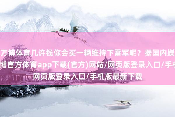 万博体育几许钱你会买一辆维持下雷军呢？据国内媒体报谈称-万博官方体育app下载(官方)网站/网页版登录入口/手机版最新下载