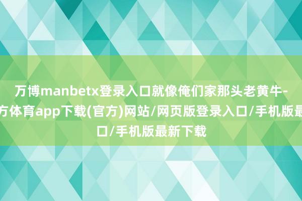 万博manbetx登录入口就像俺们家那头老黄牛-万博官方体育app下载(官方)网站/网页版登录入口/手机版最新下载