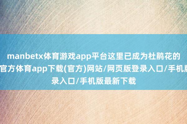 manbetx体育游戏app平台这里已成为杜鹃花的海洋-万博官方体育app下载(官方)网站/网页版登录入口/手机版最新下载