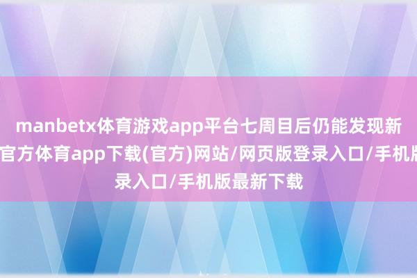 manbetx体育游戏app平台七周目后仍能发现新内容-万博官方体育app下载(官方)网站/网页版登录入口/手机版最新下载