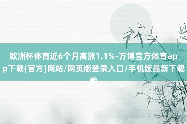 欧洲杯体育近6个月高涨1.1%-万博官方体育app下载(官方)网站/网页版登录入口/手机版最新下载
