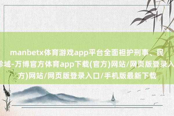 manbetx体育游戏app平台全面袒护刑事、民事、行政三大审判畛域-万博官方体育app下载(官方)网站/网页版登录入口/手机版最新下载