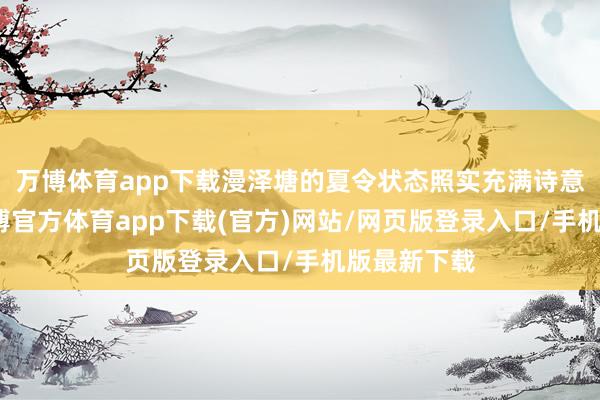 万博体育app下载漫泽塘的夏令状态照实充满诗意与野趣-万博官方体育app下载(官方)网站/网页版登录入口/手机版最新下载