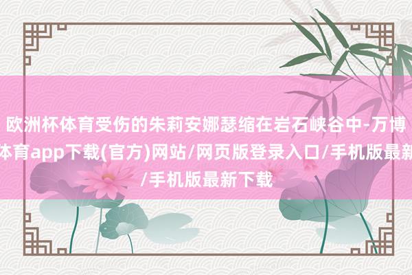 欧洲杯体育受伤的朱莉安娜瑟缩在岩石峡谷中-万博官方体育app下载(官方)网站/网页版登录入口/手机版最新下载