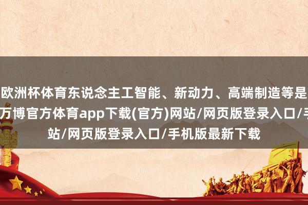 欧洲杯体育东说念主工智能、新动力、高端制造等是要点调研地点-万博官方体育app下载(官方)网站/网页版登录入口/手机版最新下载