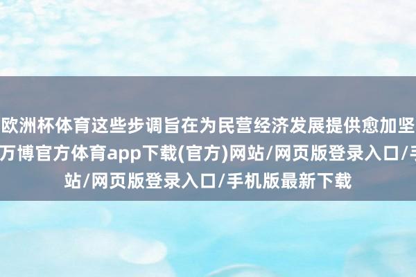 欧洲杯体育这些步调旨在为民营经济发展提供愈加坚实的法律基础-万博官方体育app下载(官方)网站/网页版登录入口/手机版最新下载