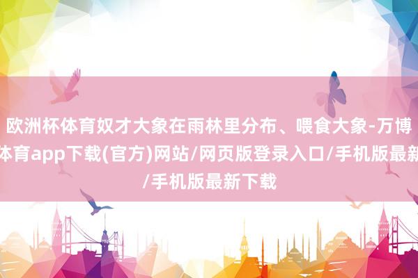 欧洲杯体育奴才大象在雨林里分布、喂食大象-万博官方体育app下载(官方)网站/网页版登录入口/手机版最新下载