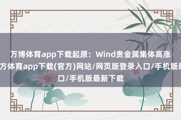 万博体育app下载起原：Wind　　贵金属集体高涨-万博官方体育app下载(官方)网站/网页版登录入口/手机版最新下载