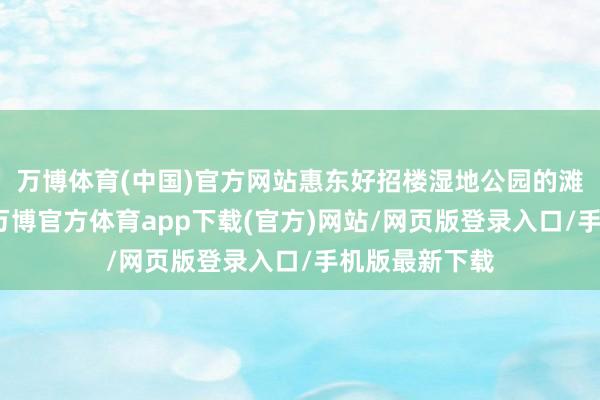 万博体育(中国)官方网站惠东好招楼湿地公园的滩涂缓缓贯通-万博官方体育app下载(官方)网站/网页版登录入口/手机版最新下载