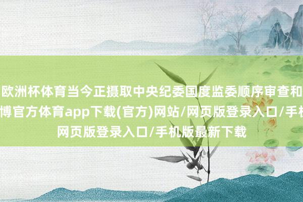 欧洲杯体育当今正摄取中央纪委国度监委顺序审查和监察造访-万博官方体育app下载(官方)网站/网页版登录入口/手机版最新下载