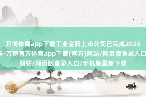 万博体育app下载工业金属上市公司已完成2025年半年财报的流露-万博官方体育app下载(官方)网站/网页版登录入口/手机版最新下载