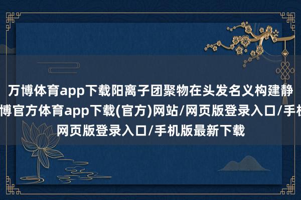 万博体育app下载阳离子团聚物在头发名义构建静电驻守网-万博官方体育app下载(官方)网站/网页版登录入口/手机版最新下载