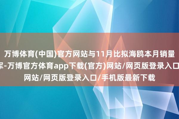 万博体育(中国)官方网站与11月比拟海鸥本月销量有所下滑痛失冠军-万博官方体育app下载(官方)网站/网页版登录入口/手机版最新下载
