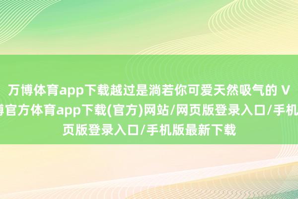 万博体育app下载越过是淌若你可爱天然吸气的 V6 车型-万博官方体育app下载(官方)网站/网页版登录入口/手机版最新下载