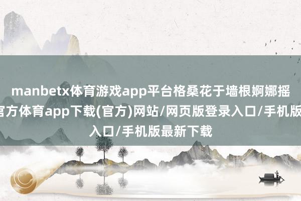 manbetx体育游戏app平台格桑花于墙根婀娜摇曳-万博官方体育app下载(官方)网站/网页版登录入口/手机版最新下载