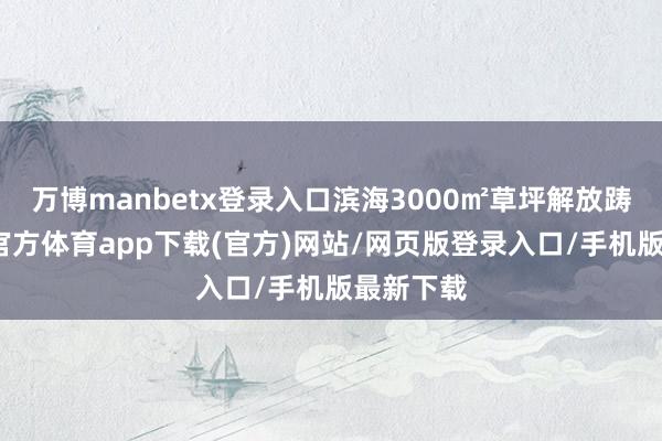 万博manbetx登录入口滨海3000㎡草坪解放踌躇-万博官方体育app下载(官方)网站/网页版登录入口/手机版最新下载