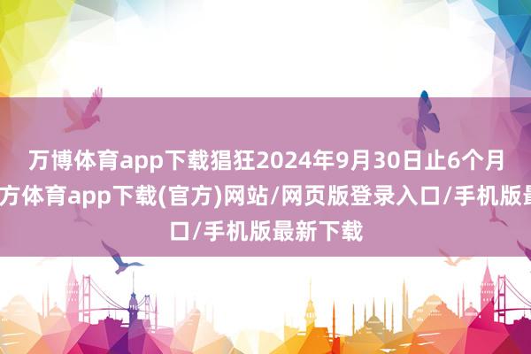 万博体育app下载猖狂2024年9月30日止6个月-万博官方体育app下载(官方)网站/网页版登录入口/手机版最新下载