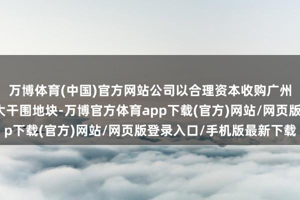 万博体育(中国)官方网站公司以合理资本收购广州市海珠区工业大路南大干围地块-万博官方体育app下载(官方)网站/网页版登录入口/手机版最新下载